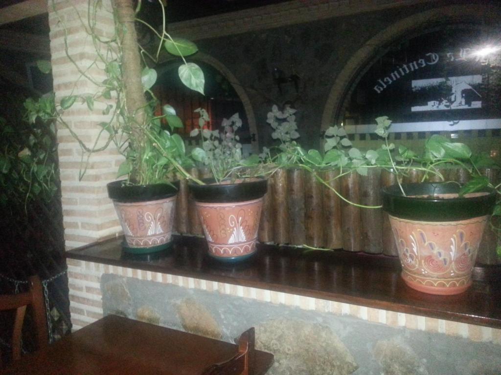 Posada De Los Consules Консуэгра Экстерьер фото